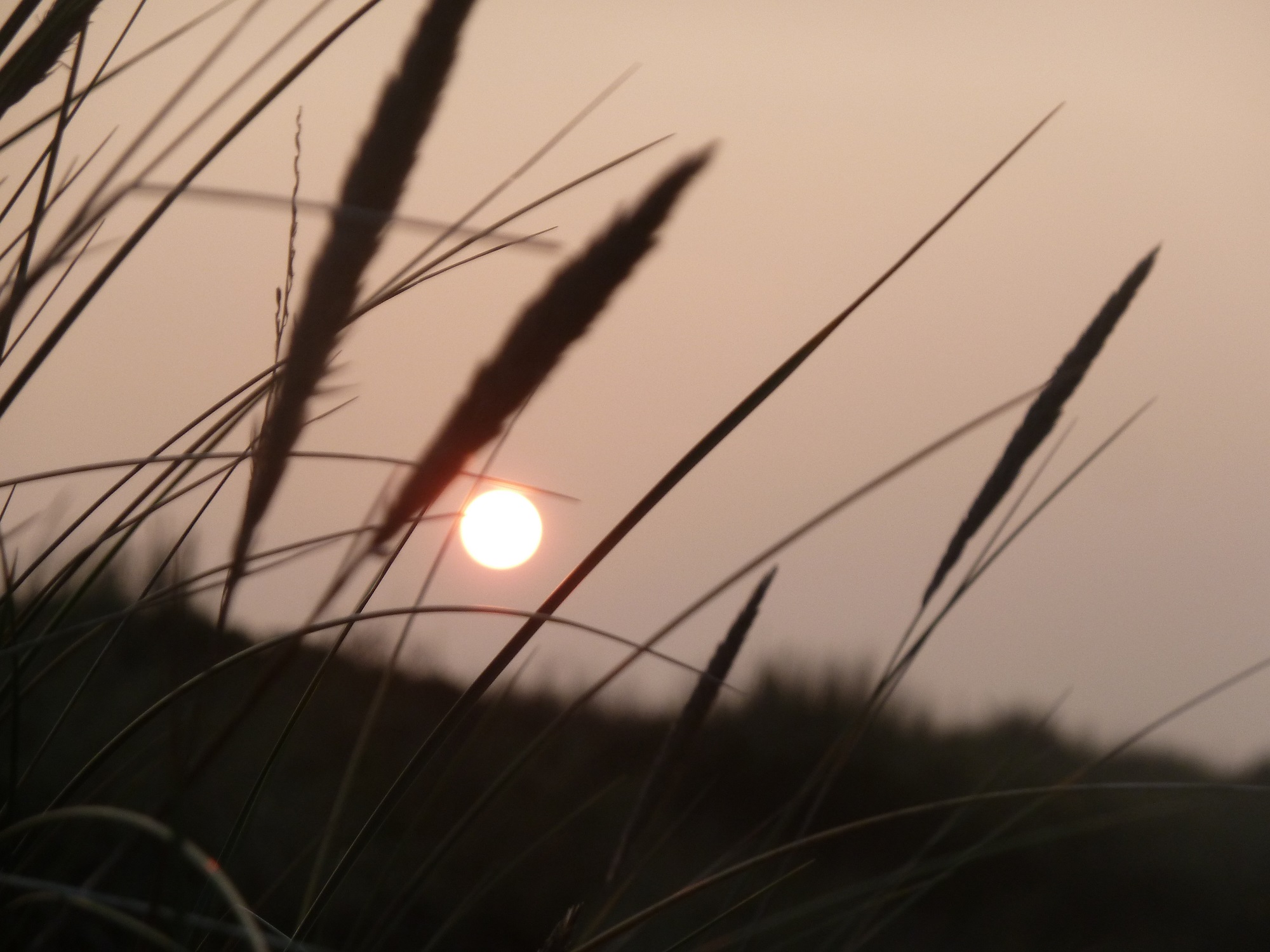Abendstimmung Langeoog